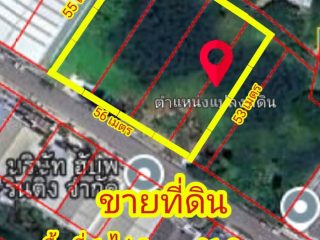 ที่ดิน อ.ไทรน้อย